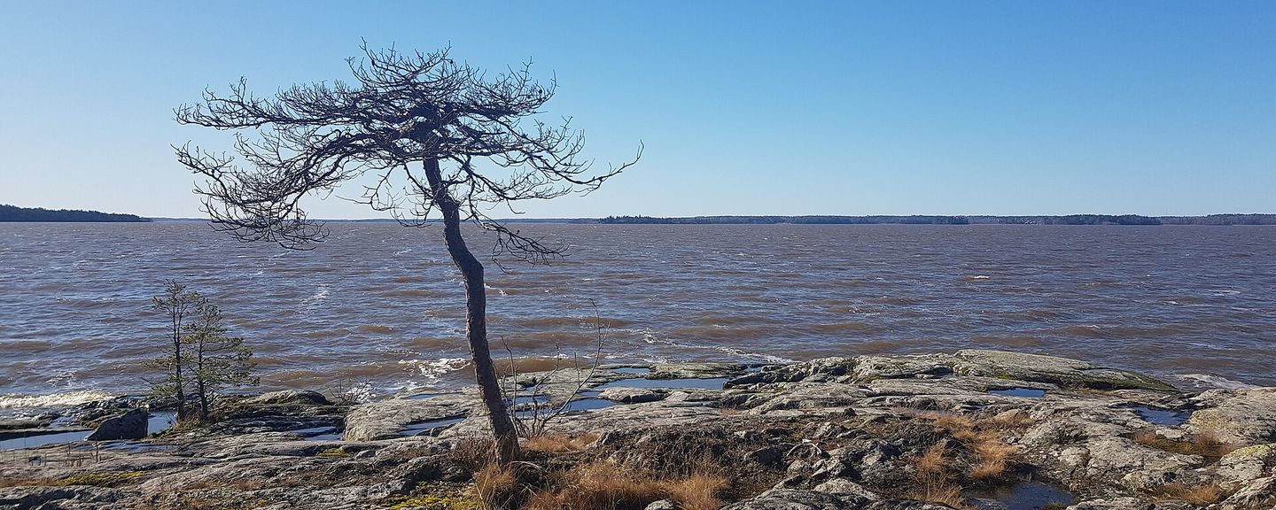 Ängsö