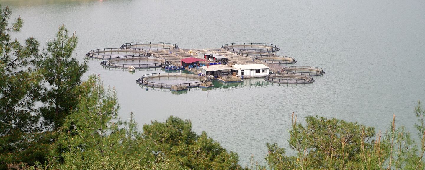 Kozan Dam