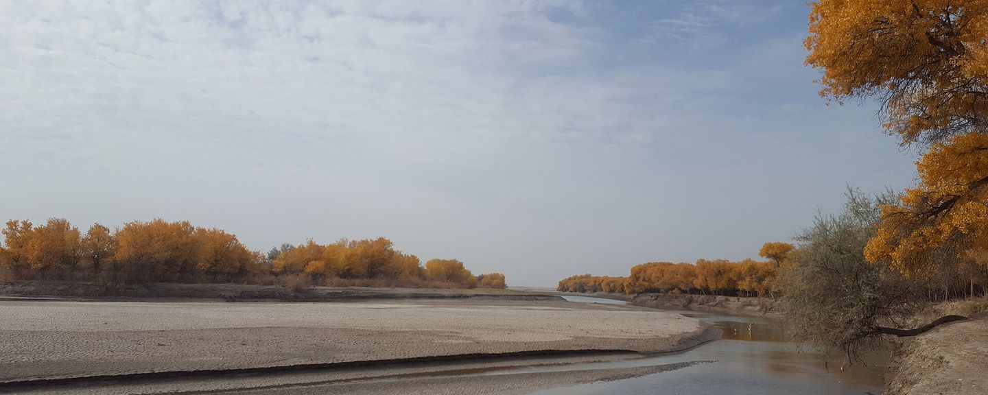 Хорезмский национальный парк