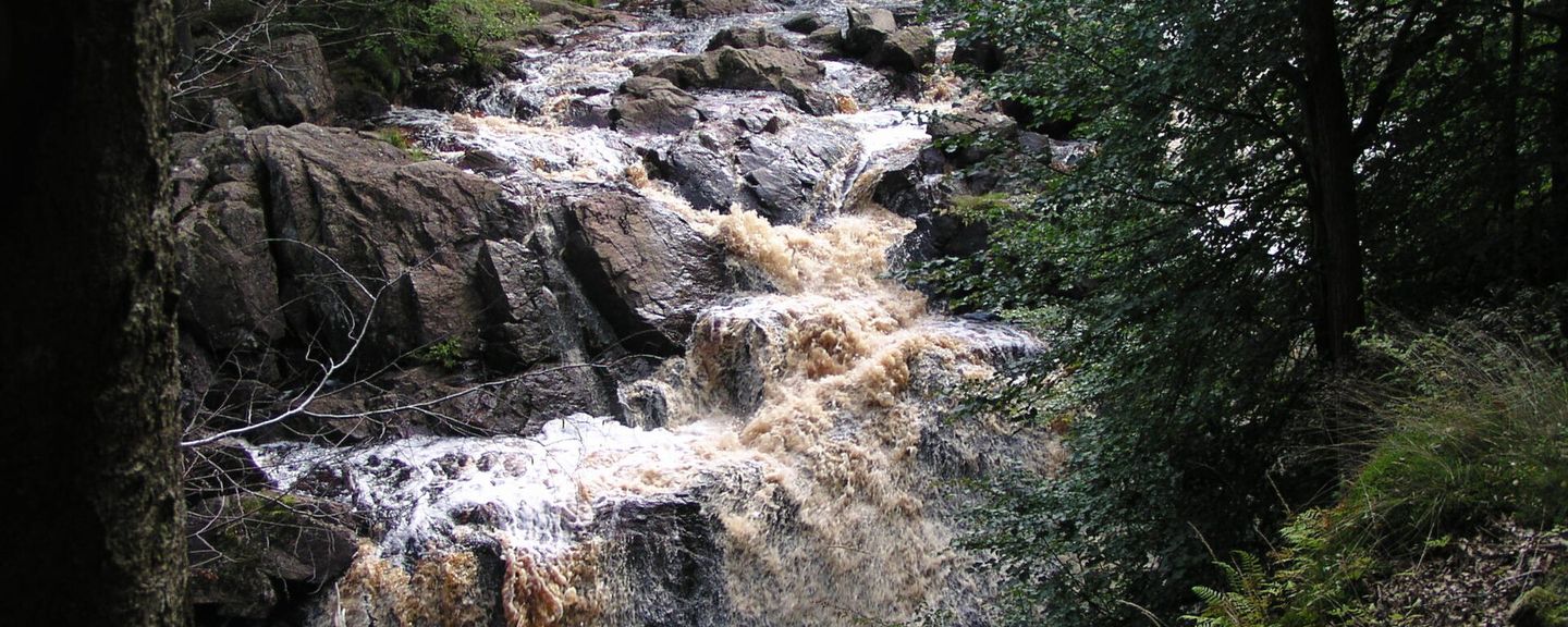 Danska fall