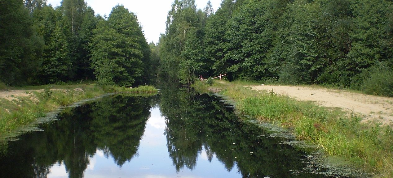 Березинский биосферный заповедник