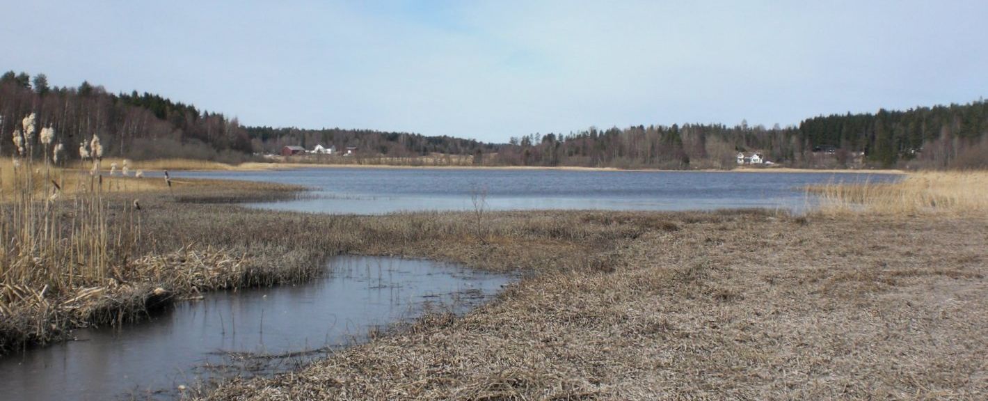 Midtsjøvann