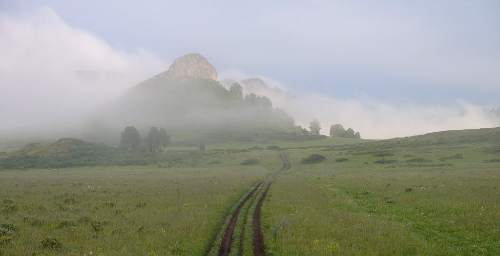 Тигирекский заповедник