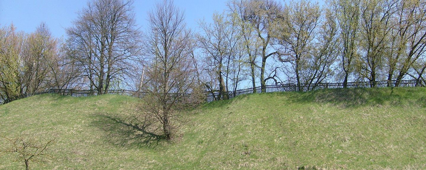 Кричевский замок