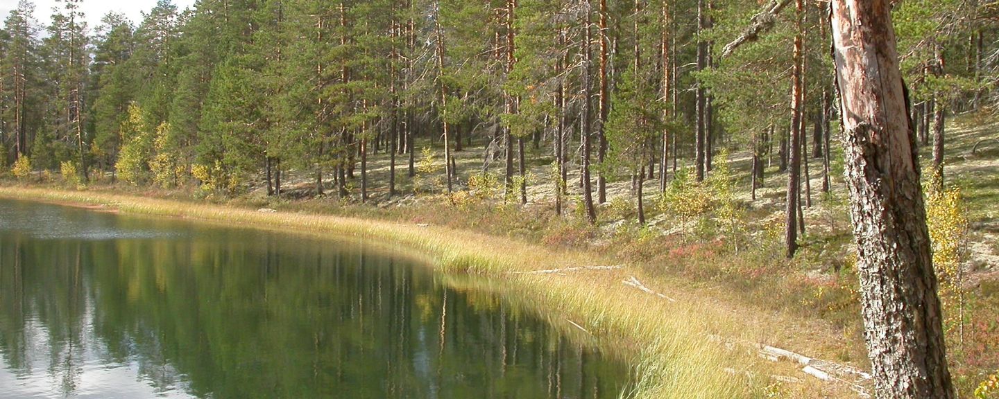Rokua National Park