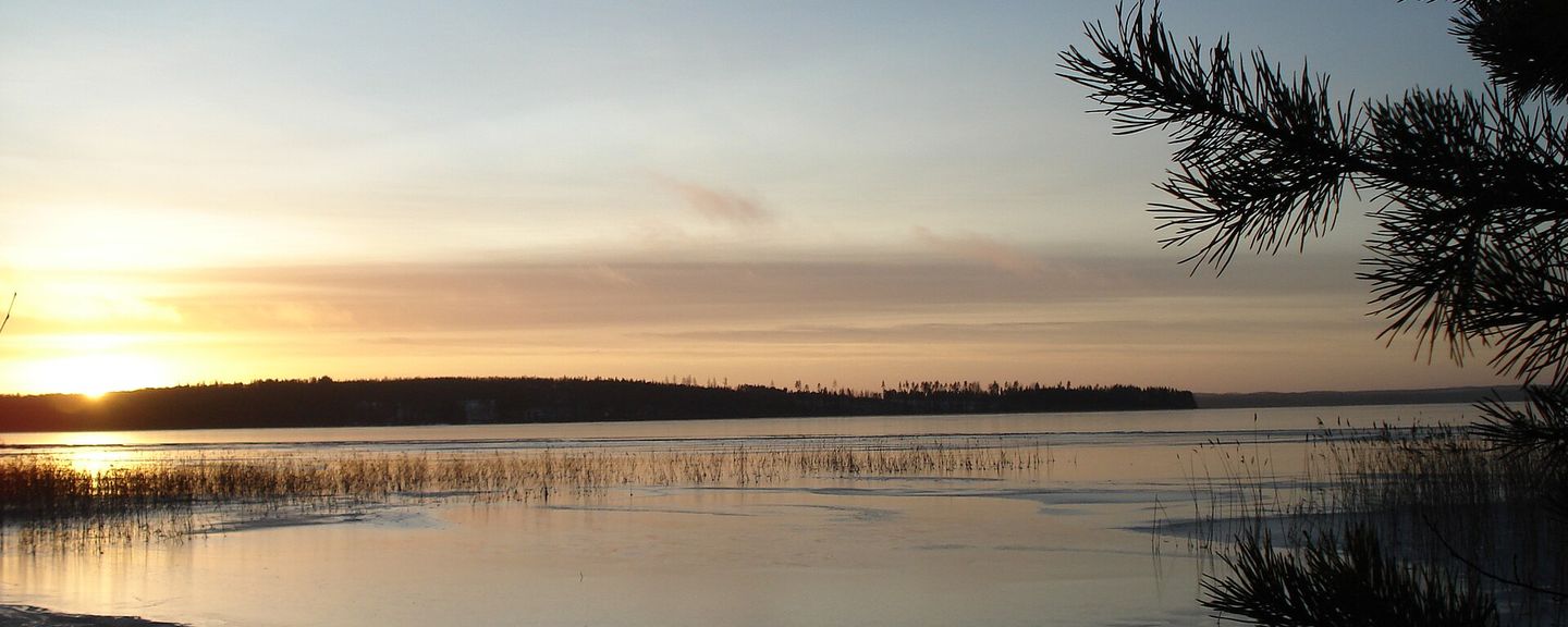 Vuohijärvi