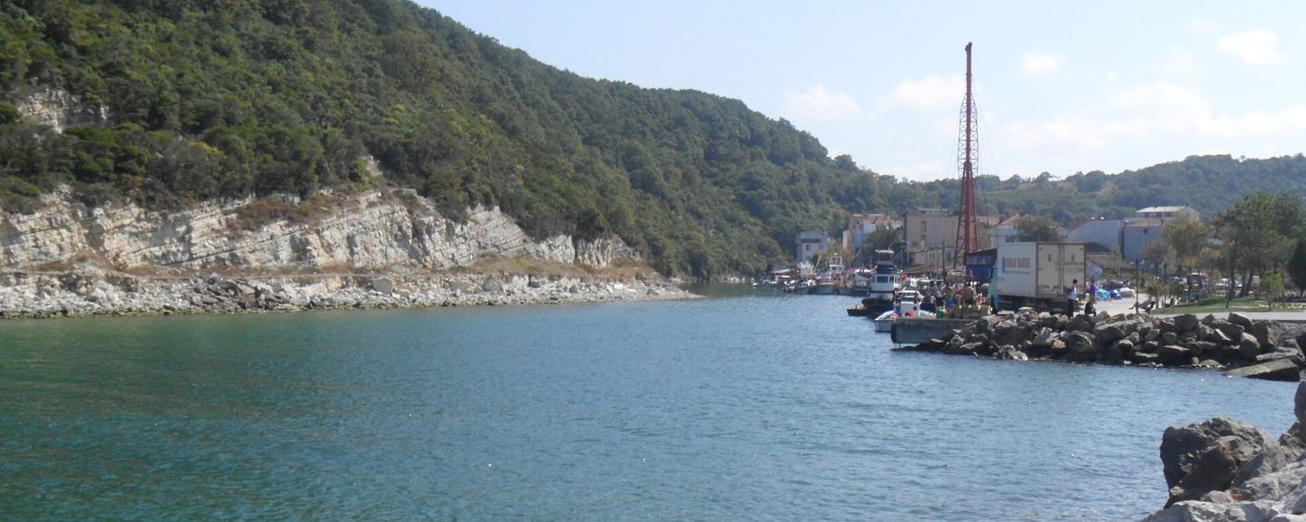 Ağva Merkez