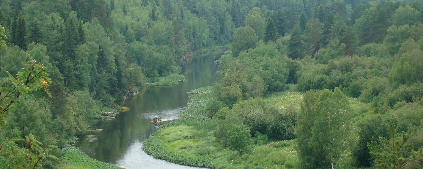 Оленьи Ручьи