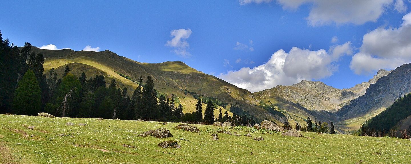 Ауадхара