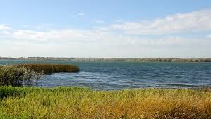 Белое (озеро, Гафурийский район)
