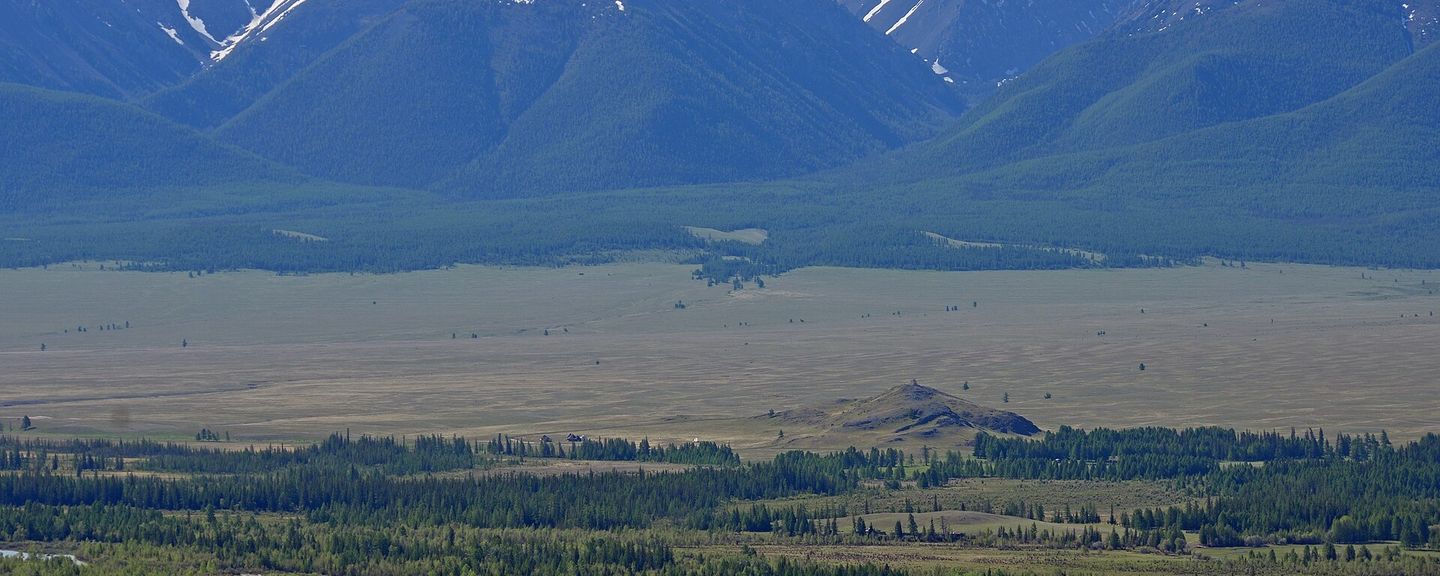 Курайская степь