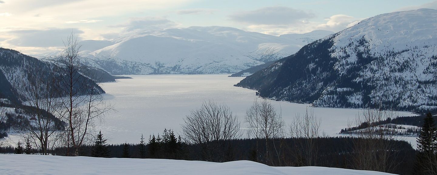 Langvatnet