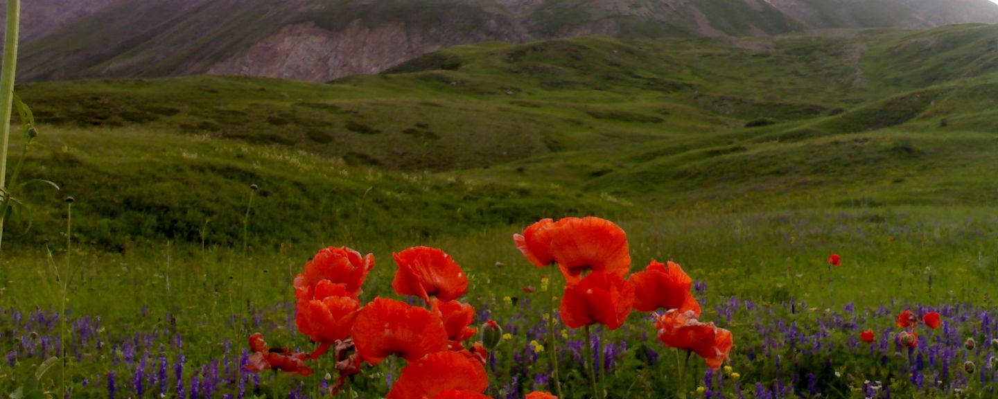 Kösedağ