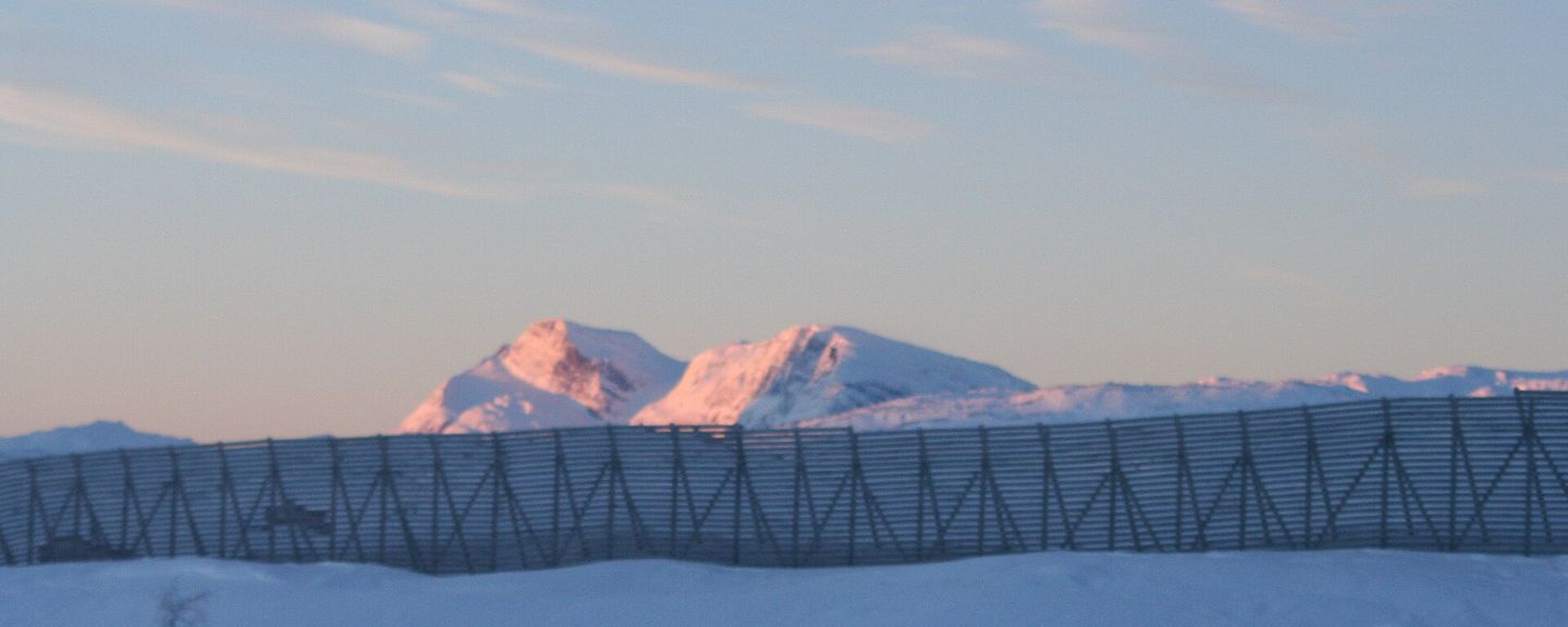 Bjørnfjell