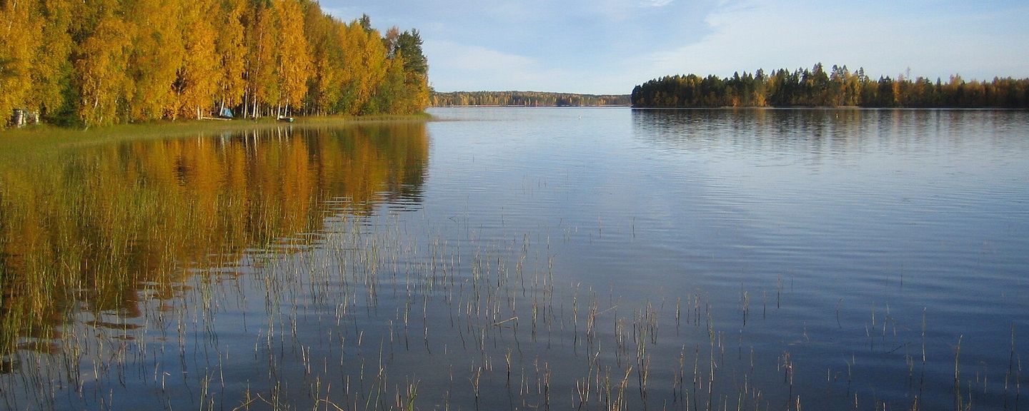 Кейтеле