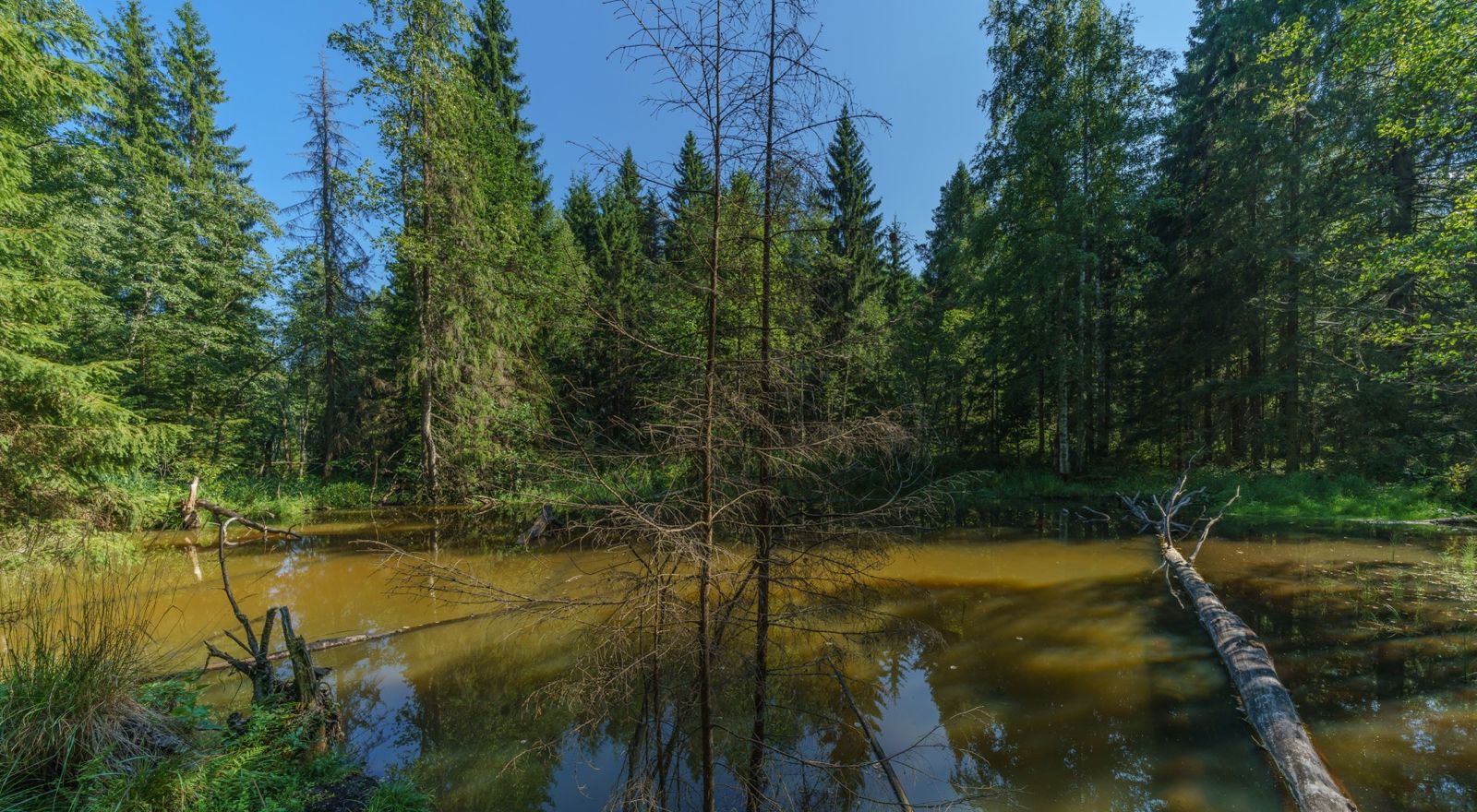 Валдайский национальный парк