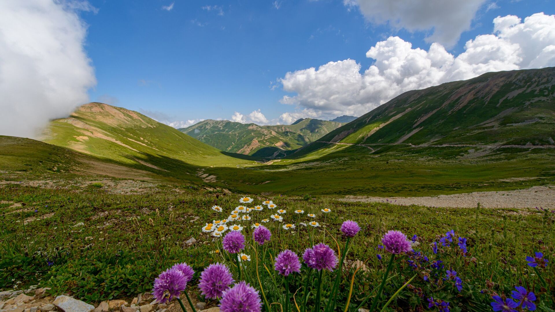 Camili Biosphere Reserve