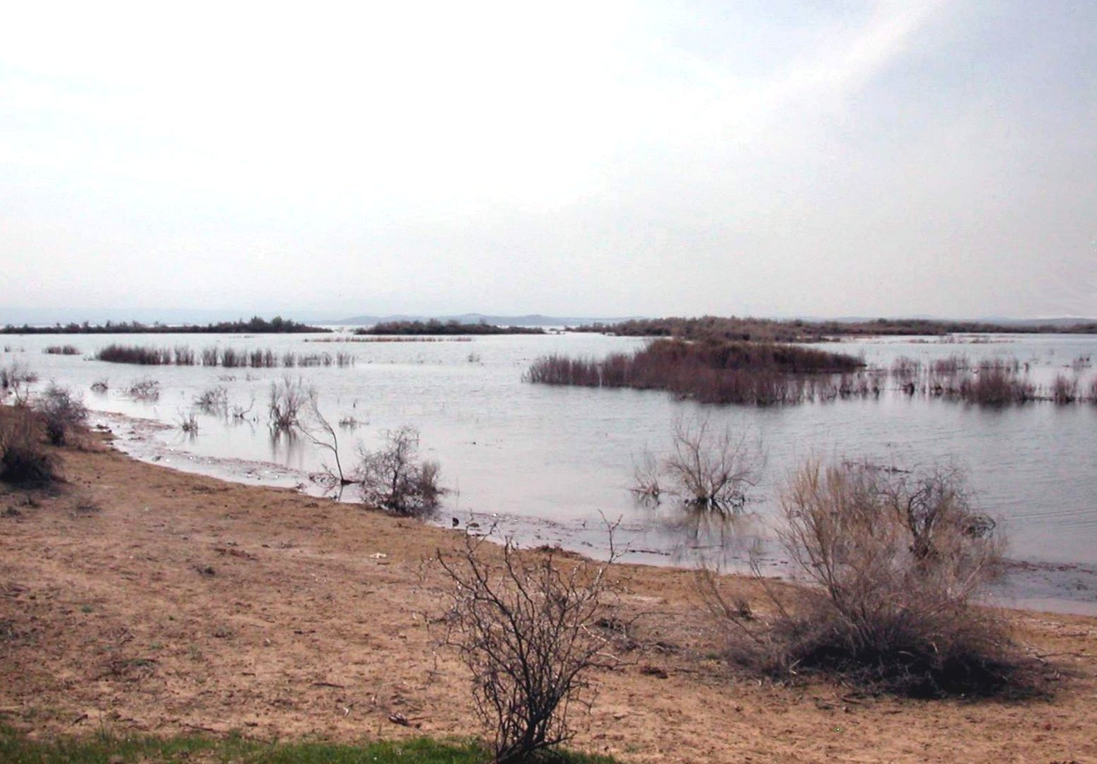 Айдаркуль