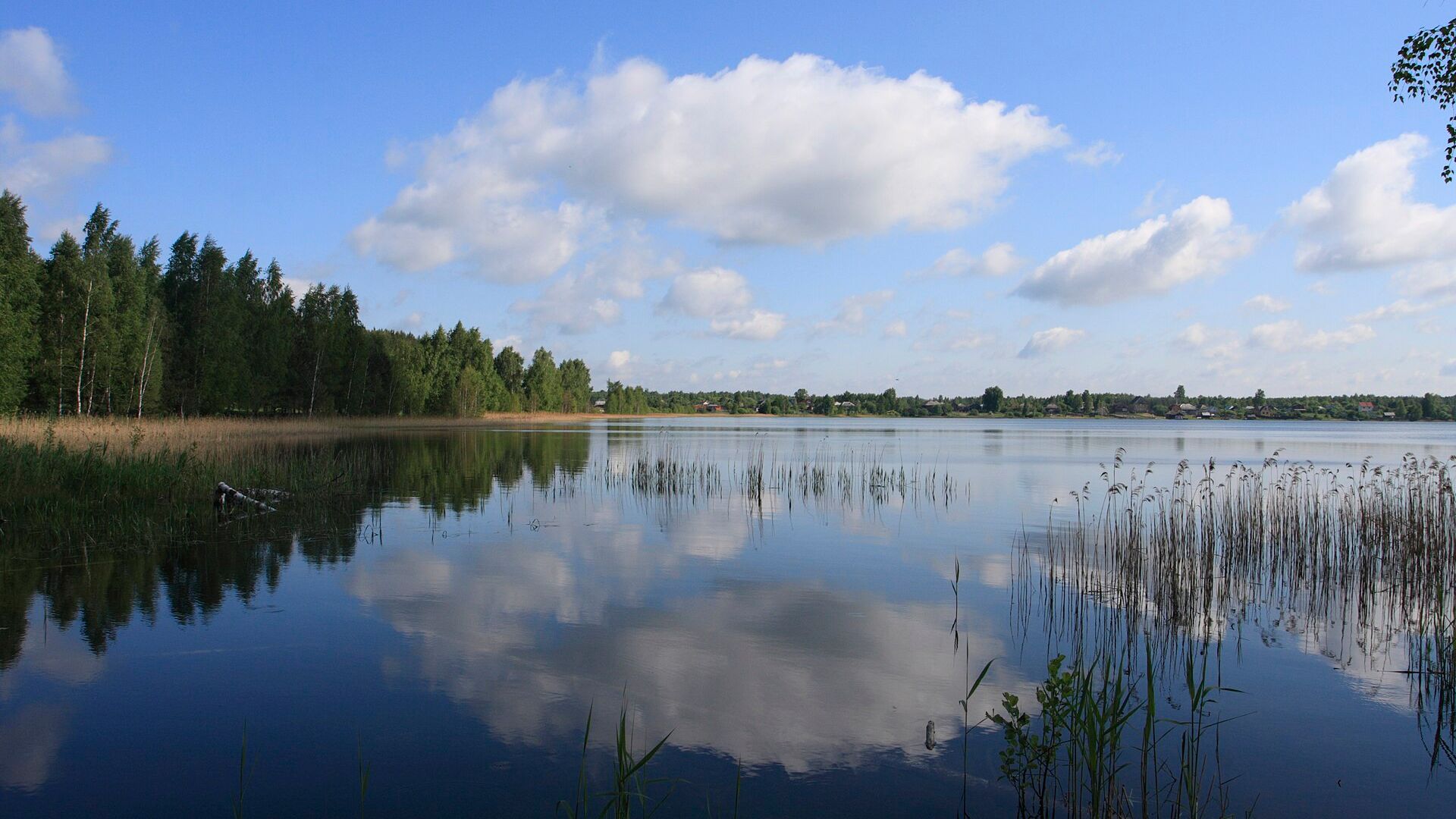 Белое озеро (Рязанская область, северное)