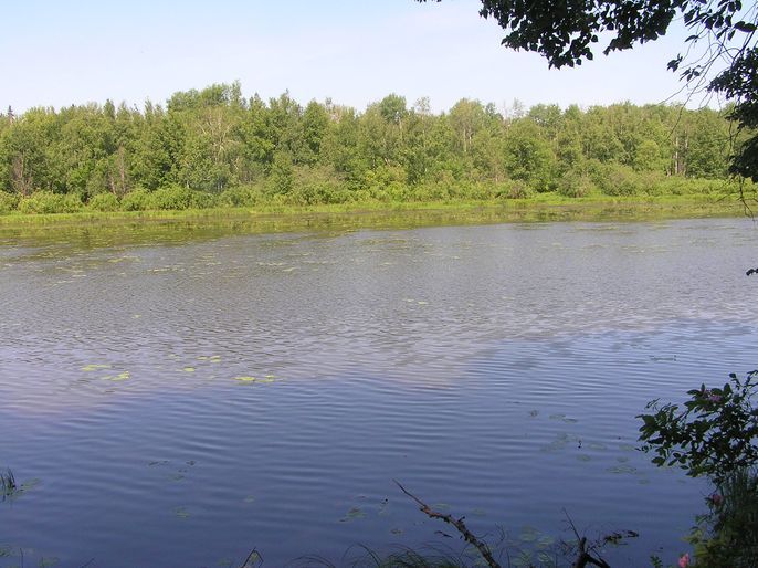 Нургуш (заповедник)