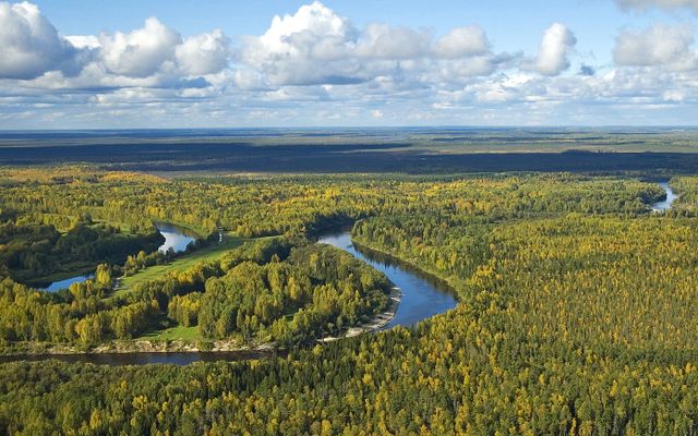 Васюганский заповедник