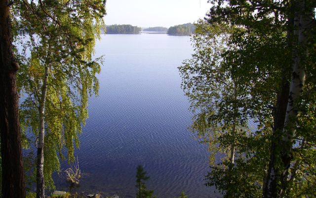 Увильды
