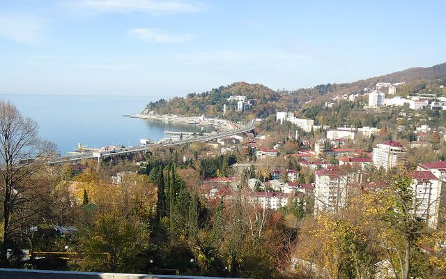 Хоста