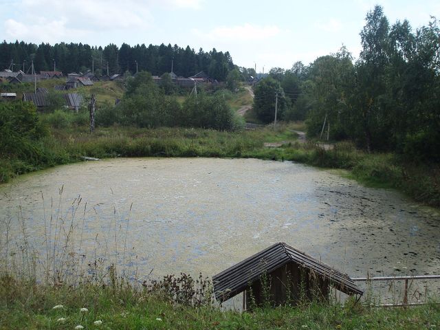 Усадьба Спасское-Куркино