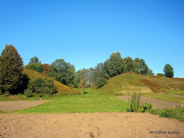 Воронечский замок