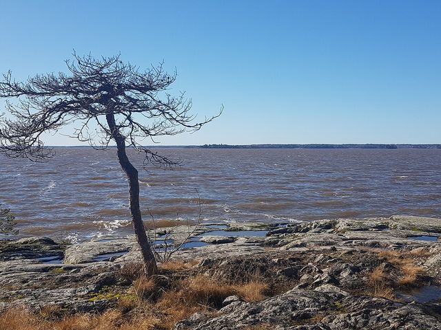 Ängsö