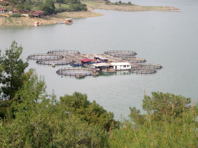 Kozan Dam