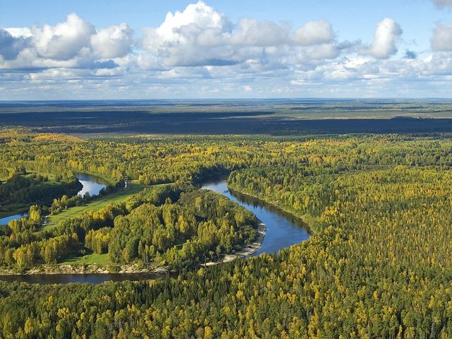Васюганский заповедник