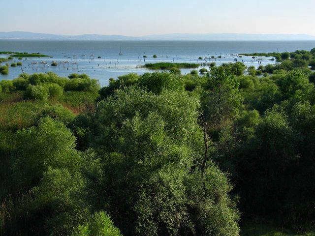 Даскилеон