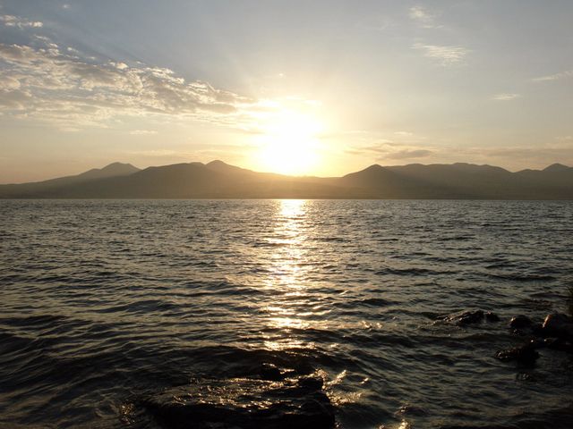 Паравани