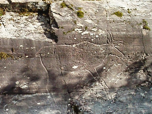 Bølareinen rock carvings of Steinkjer