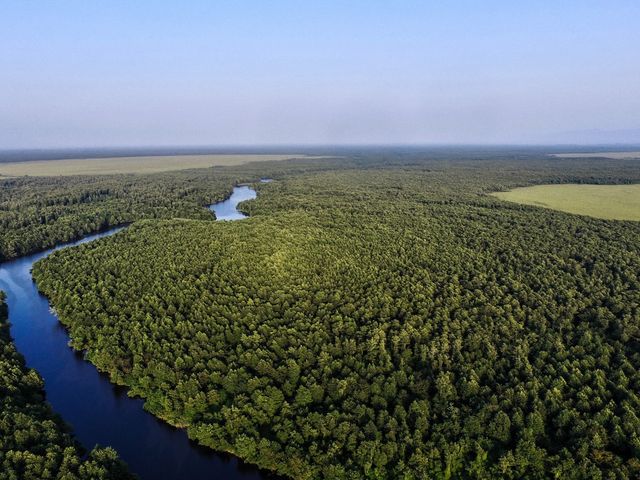 Колхидский национальный парк