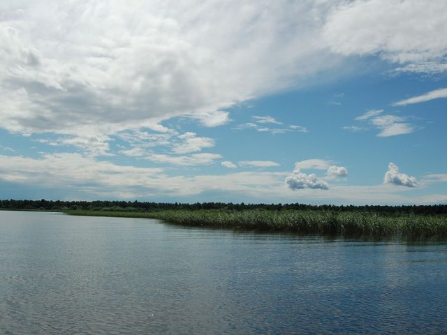 Воже
