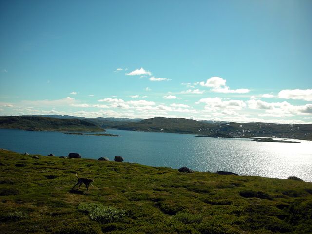 Rosskreppfjorden
