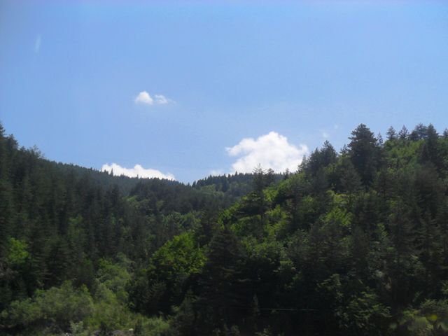 Mount Ilgaz National Park