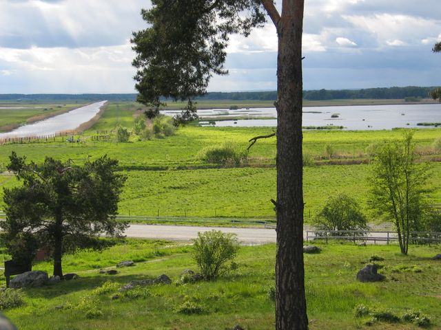 Kvismaren