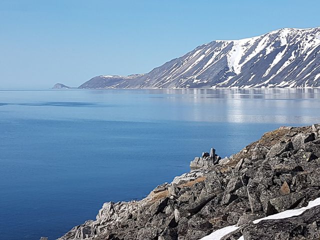 Берингия