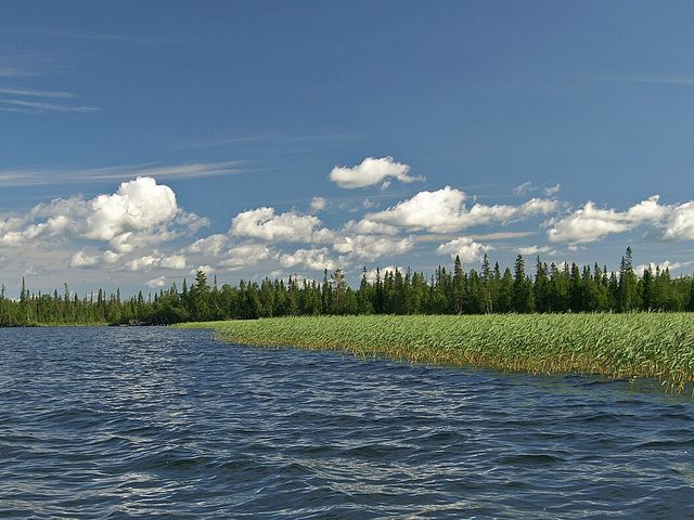 Канозеро