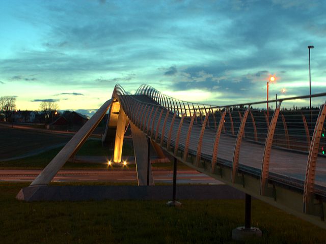 Vebjørn Sand Da Vinci Project