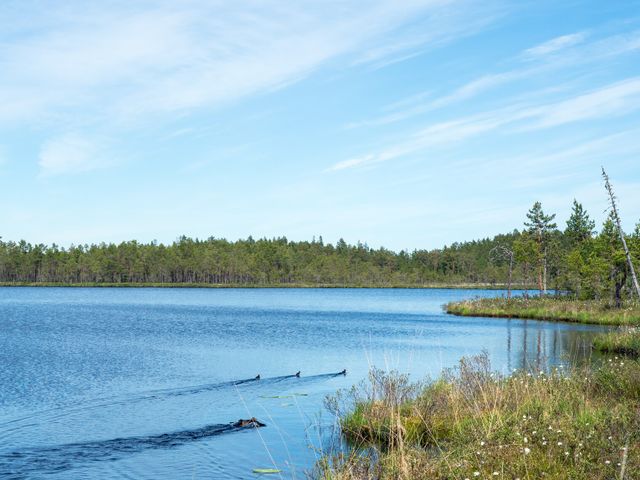 Lappland