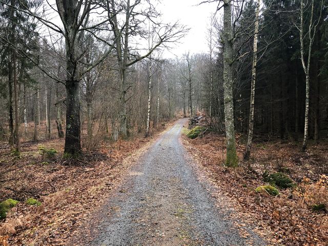 Långasjönäs
