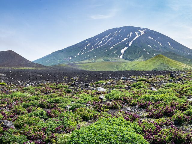 Алаид