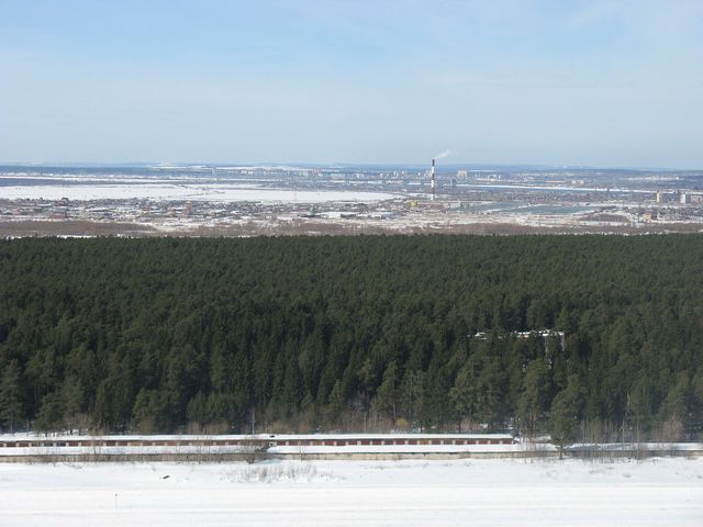 Черняевский лес