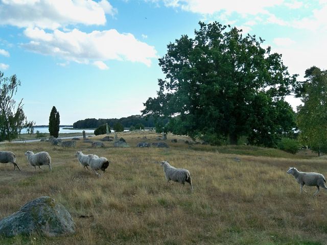 Vambåsa hagmarker