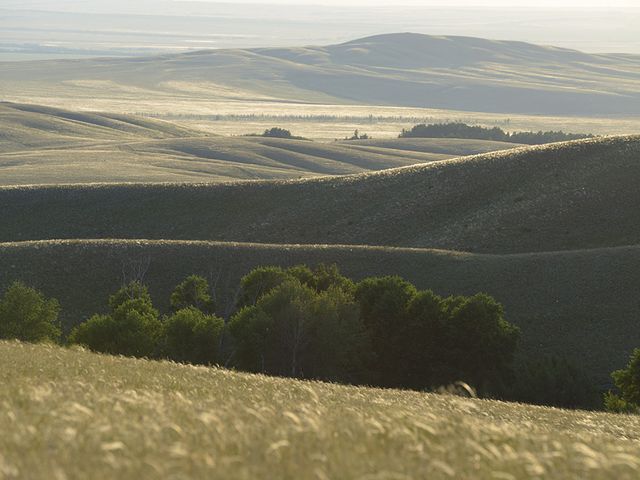 Оренбургский заповедник