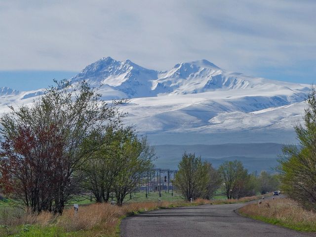 Арагац